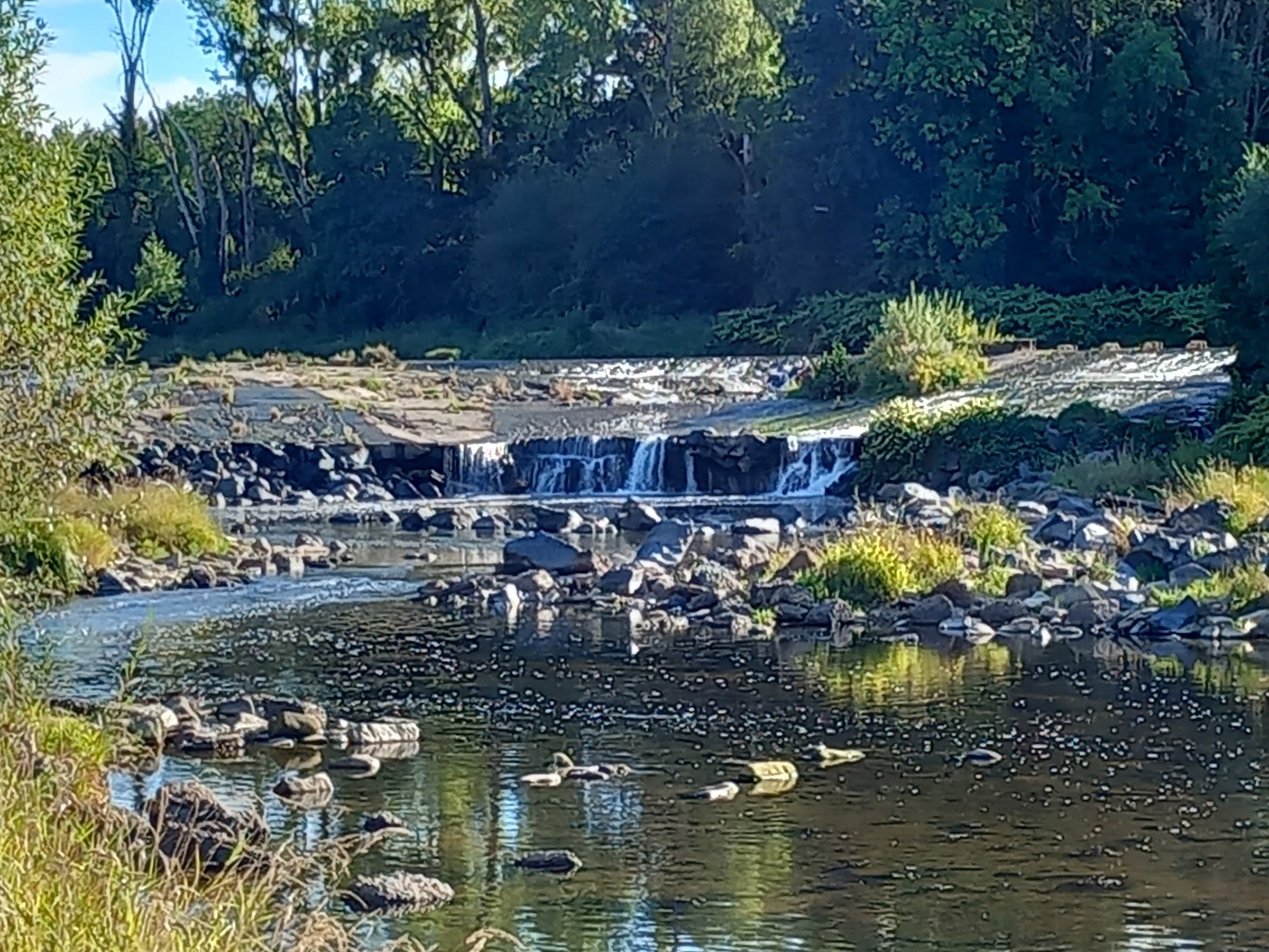 Camping Les Îles (Charmes)